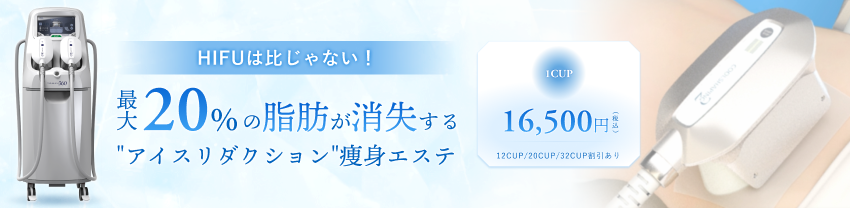 アイスリダクション痩身エステ